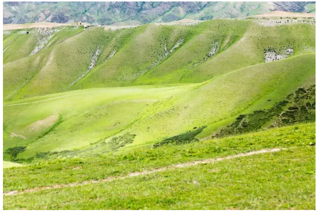 35.png
